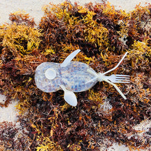 Load image into Gallery viewer, Catch Of The Day - Plastic Fisherman fish 7.5" x 7.5"