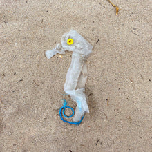Load image into Gallery viewer, Catch Of The Day - Plastic Seahorse 7.5" x 7.5"