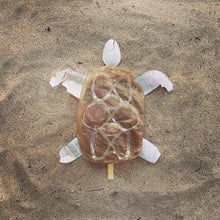 Load image into Gallery viewer, Catch Of The Day - Plastic Turtle 7.5" x 7.5"