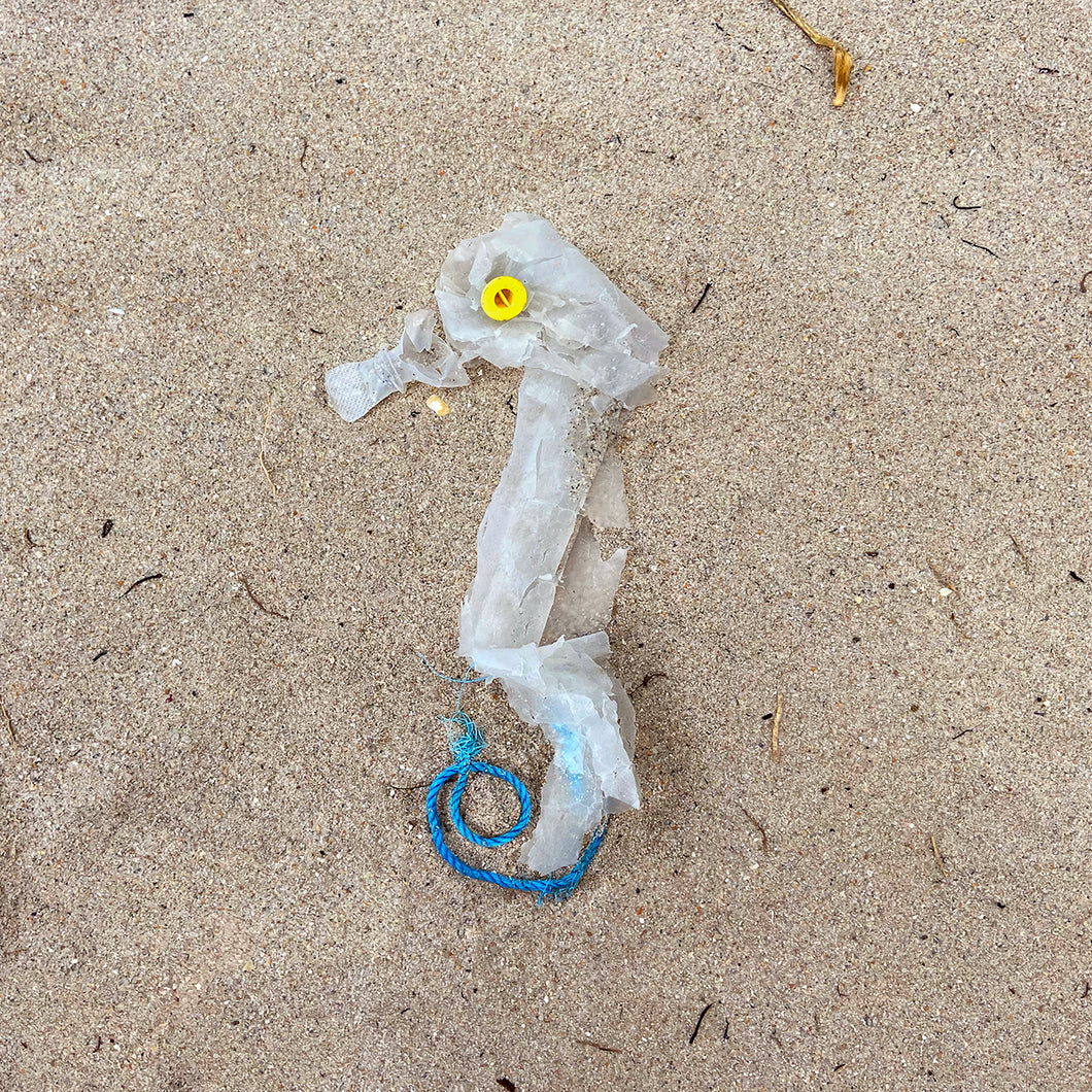 Catch Of The Day - Plastic Seahorse 7.5