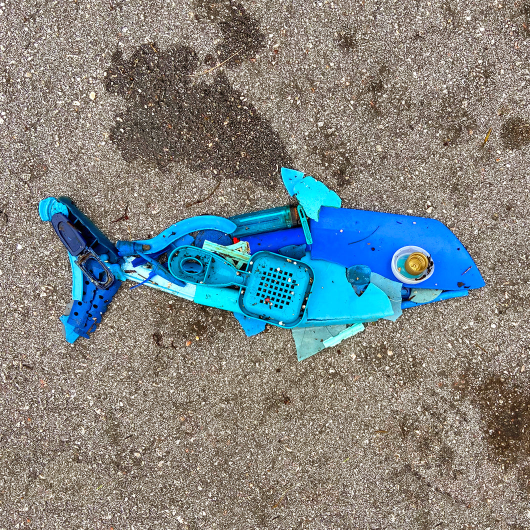 Catch Of The Day - Plastic Muttfish 7.5